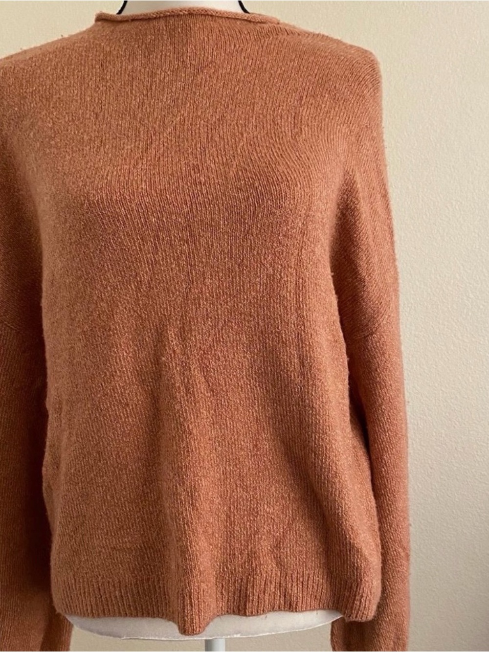 Cozy Women's Rust Crewneck Sweater